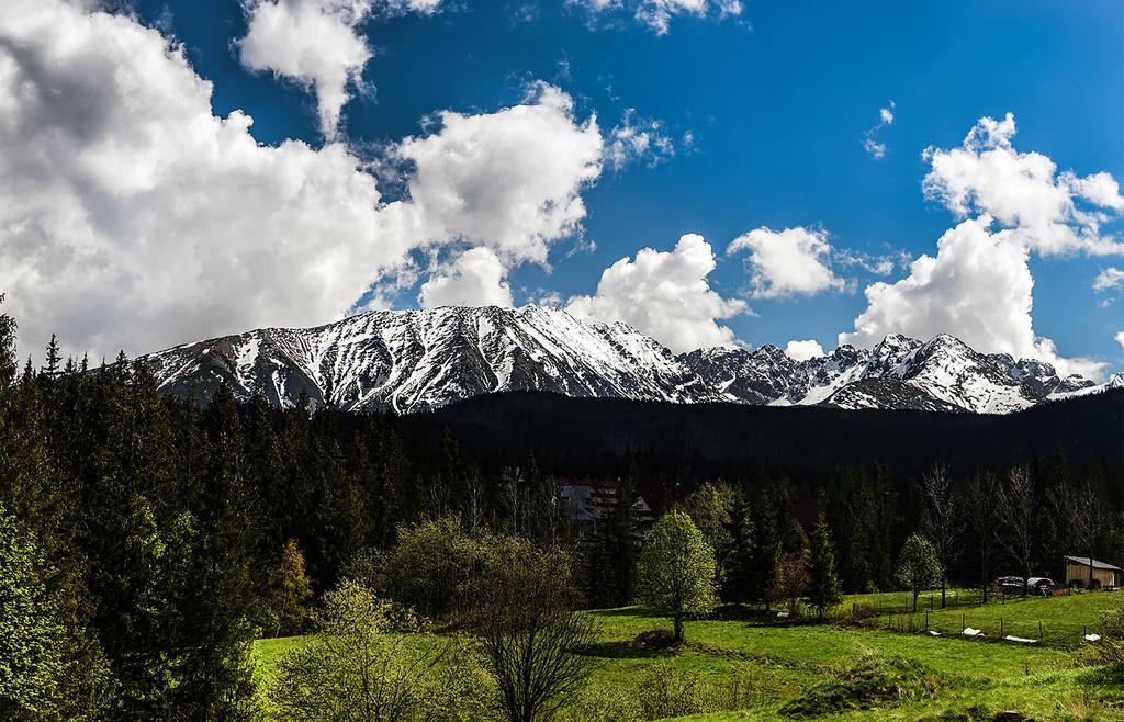 Bed and Breakfast Zwijaczowka Закопане Екстер'єр фото