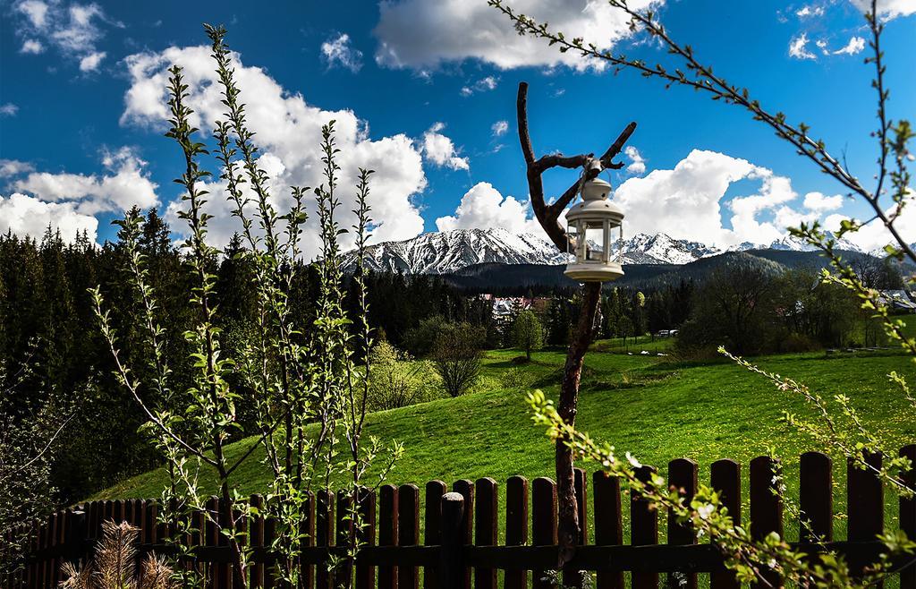 Bed and Breakfast Zwijaczowka Закопане Екстер'єр фото